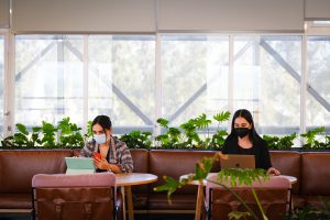 Dos chicas con sus computadoras trabajando en el espacio de coworking de REDi Zapotlán